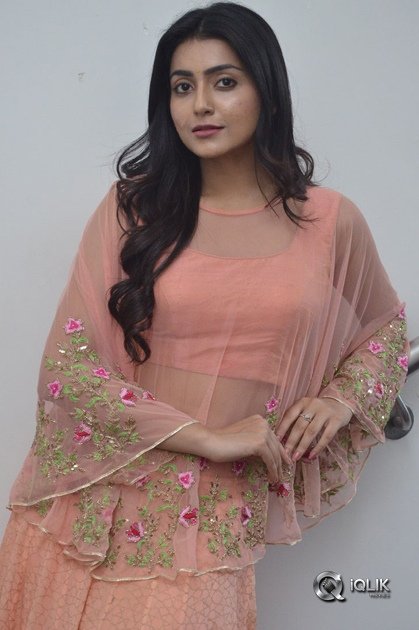 Avantika-Mishra-At-Vaishakham-Movie-Success-meet